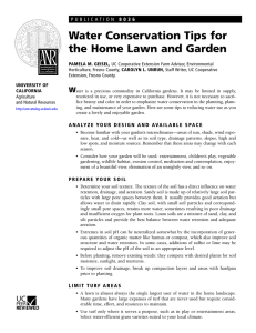 Water Conservation Tips for the Home Lawn and Garden