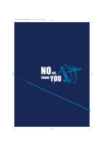 No Ice Thank You - Mornington Sanford Aviation