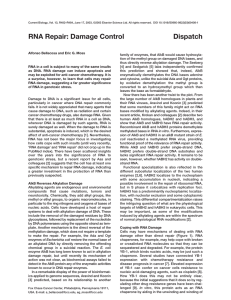 RNA Repair: Damage Control Dispatch
