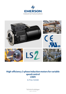 Leroy-Somer LSMV motors - Catalogue