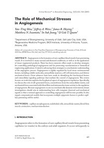 The Role of Mechanical Stresses in Angiogenesis