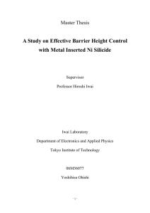 A Study on Effective Barrier Height Control with Metal Inserted Ni