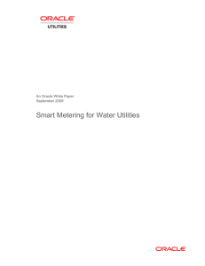 Smart Metering for Water Utilities