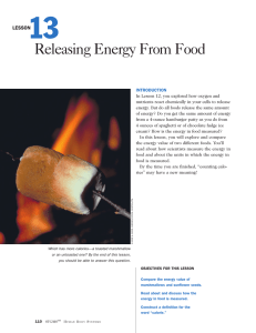 Lesson 13: Releasing Energy from Food
