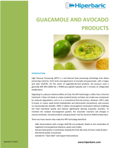 guacamole and avocado products