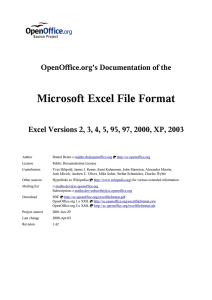 The Microsoft Excel File Format