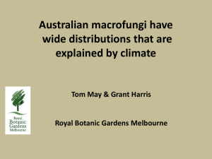 Australian macrofungi have wide distributions that are explained by
