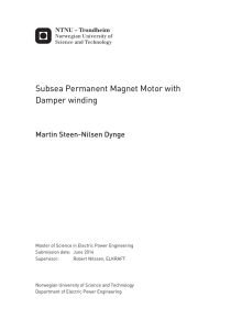 Subsea Permanent Magnet Motor with Damper winding