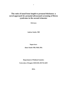 The Ratio Of Nasal Bone Length To Prenasal Thickness