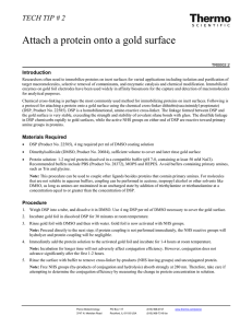 Attach a protein onto a gold surface