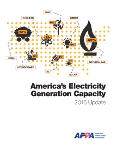 America`s Electricity Generation Capacity