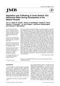 Regulation and Trafficking of Three Distinct 18 S Ribosomal