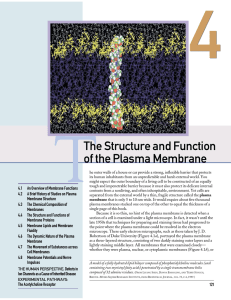 The Structure and Function of the Plasma Membrane