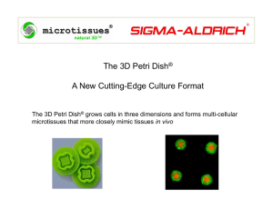 3D Petri Dish of Microtissues - Sigma