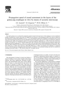 Propagation speed of sound assessment in the layers of the guinea