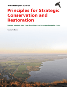 Principles for Strategic Conservation and Restoration