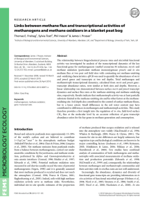 Links between methane flux and transcriptional activities of