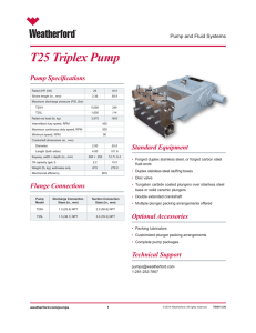 T25 Triplex Pump