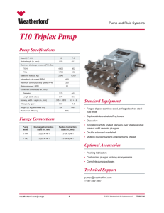 T10 Triplex Pump