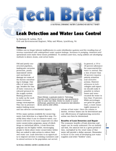 Leak Detection and Water Loss Control