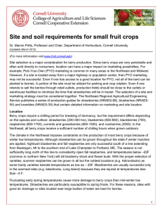 Site and soil requirements for small fruit crops