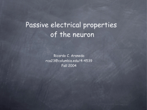 Passive electrical properties of the neuron