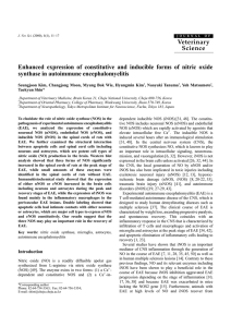 Enhanced expression of constitutive and inducible forms of nitric