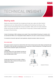 Bearing seals