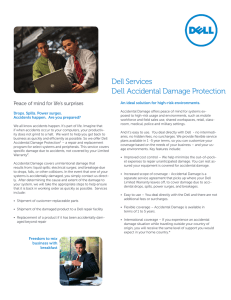 Dell Services Dell Accidental Damage Protection