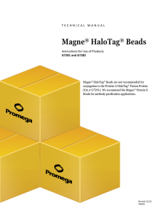 Magne™ HaloTag® Beads