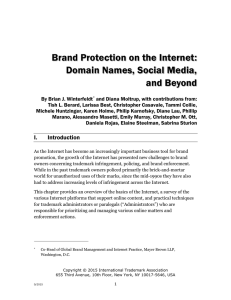 Brand Protection on the Internet - International Trademark Association
