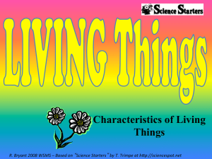 Living Things PowerPoint