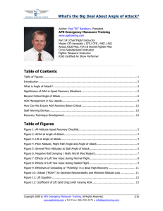 Angle-Of-Attack APS Training - Alpha Systems