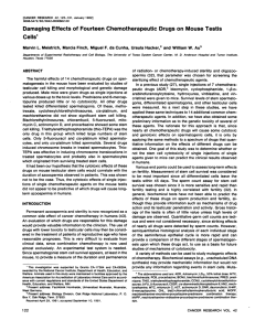 Damaging Effects of Fourteen Chemotherapeutic