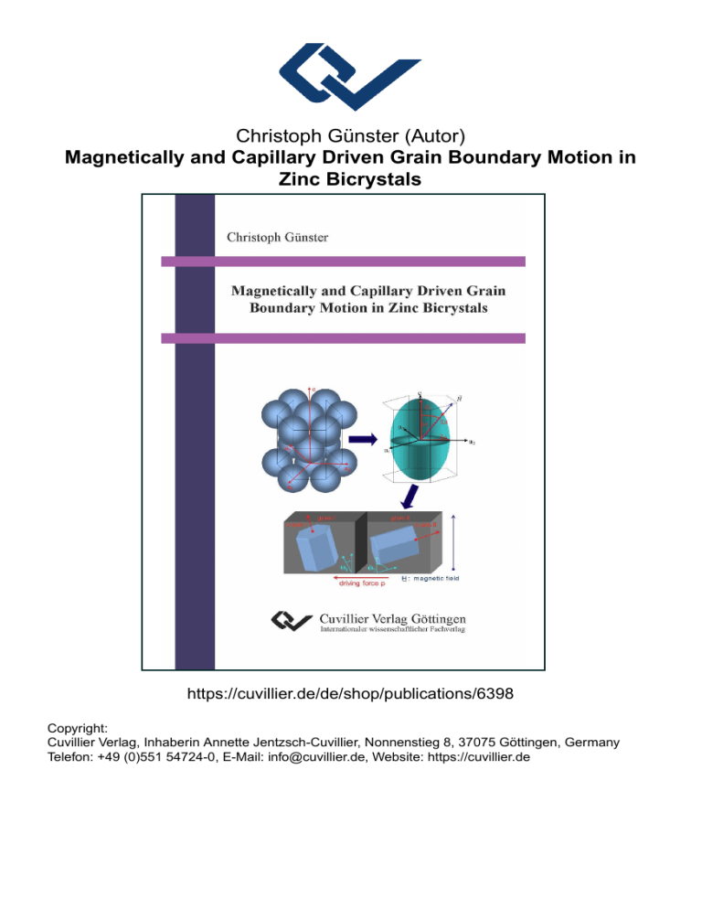 Magnetically And Capillary Driven Grain Boundary Motion In Zinc