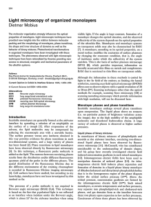 Light microscopy of organized monolayers