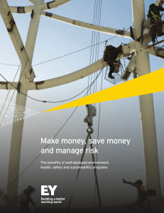 EY - Make money, save money and manage risk
