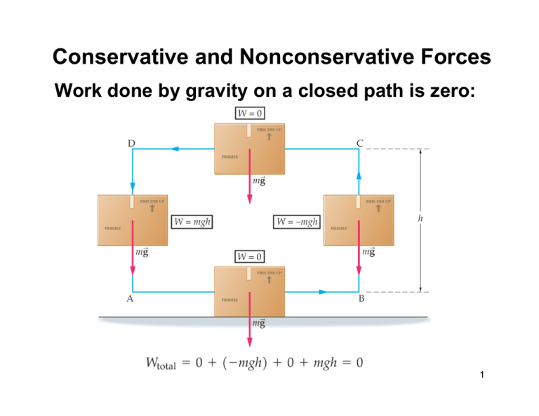 Conservative And Nonconservative Forces