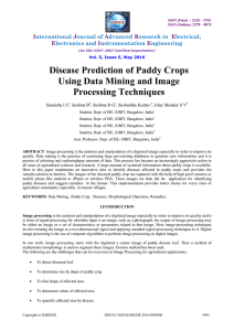 Disease Prediction of Paddy Crops Using Data Mining and Image