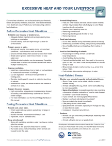 EXCESSIVE HEAT AND YOUR LIVESTOCK