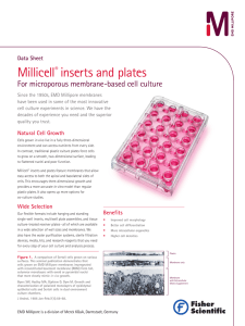 Millicell® inserts and plates