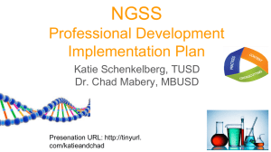 Professional Development Implementation Plan