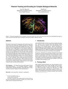 Filament Tracking and Encoding for Complex Biological Networks