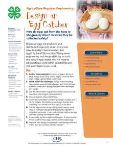 Design an Egg Catcher