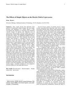 The Effects of Simple Objects on the Electric Field of