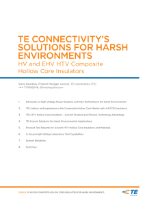 WHITE PAPER TE Connectivity`s solutions for harsh environments