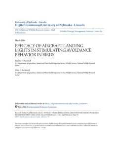 efficacy of aircraft landing lights in stimulating avoidance behavior in