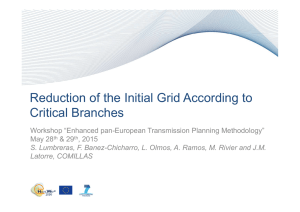 Reduction of the Initial Grid According to Critical Branches