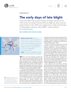 The early days of late blight | eLife