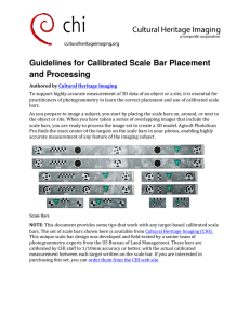 Guidelines for Calibrated Scale Bar Placement and Processing